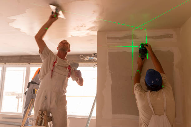 Best Drywall Sanding and Smoothing  in Murphy, NC